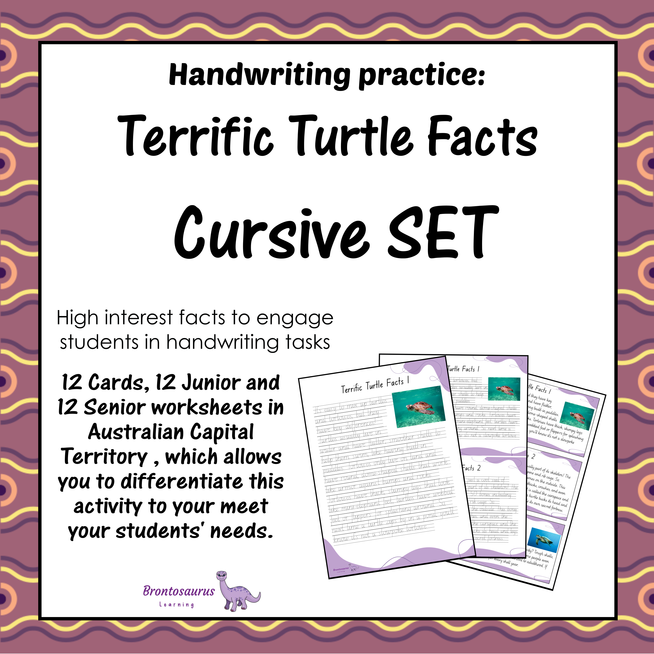 TURTLEs Cursive Set cover image