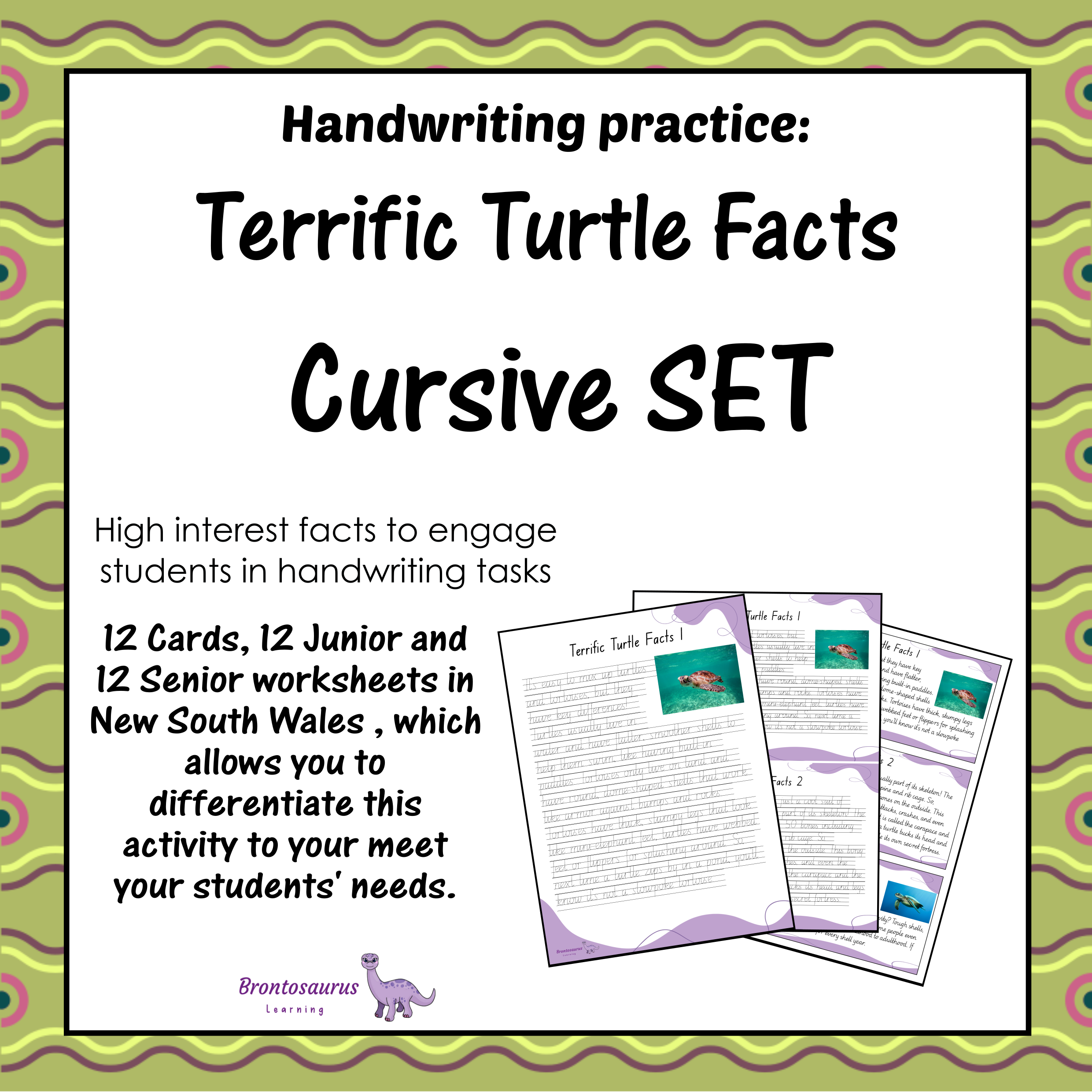 TURTLEs Cursive Set cover image