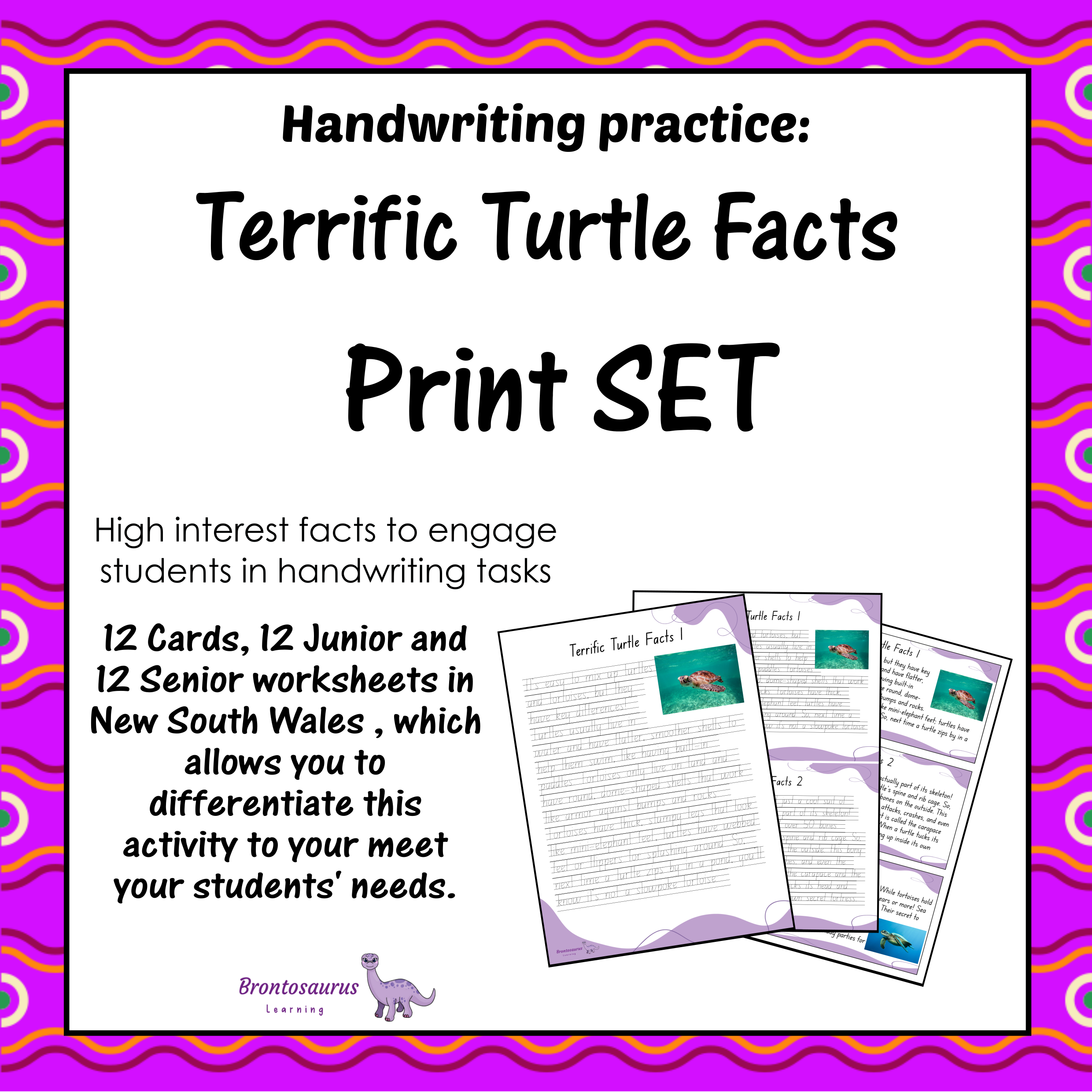 TURTLEs Print Set cover image