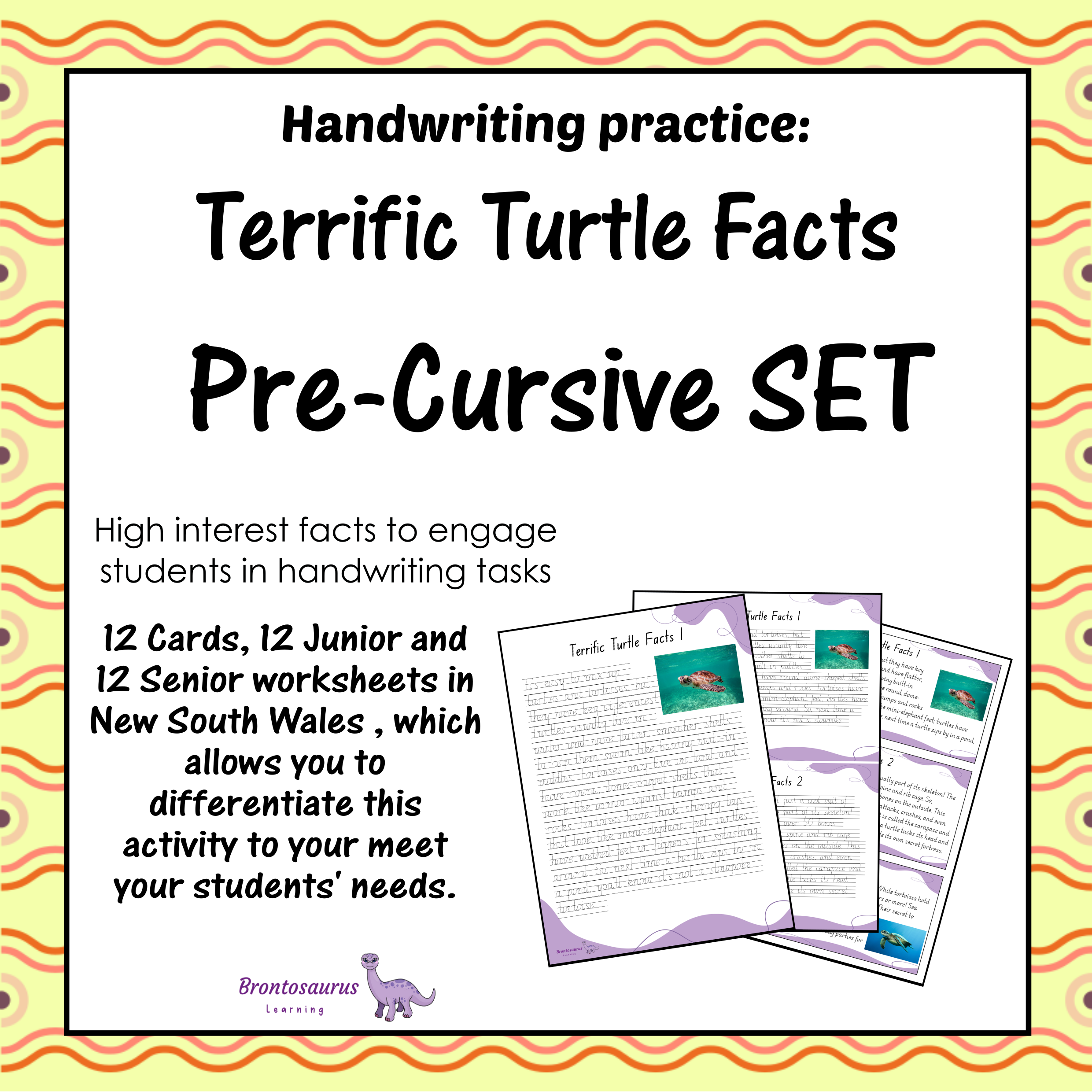 TURTLEs Pre-cursive Set cover image