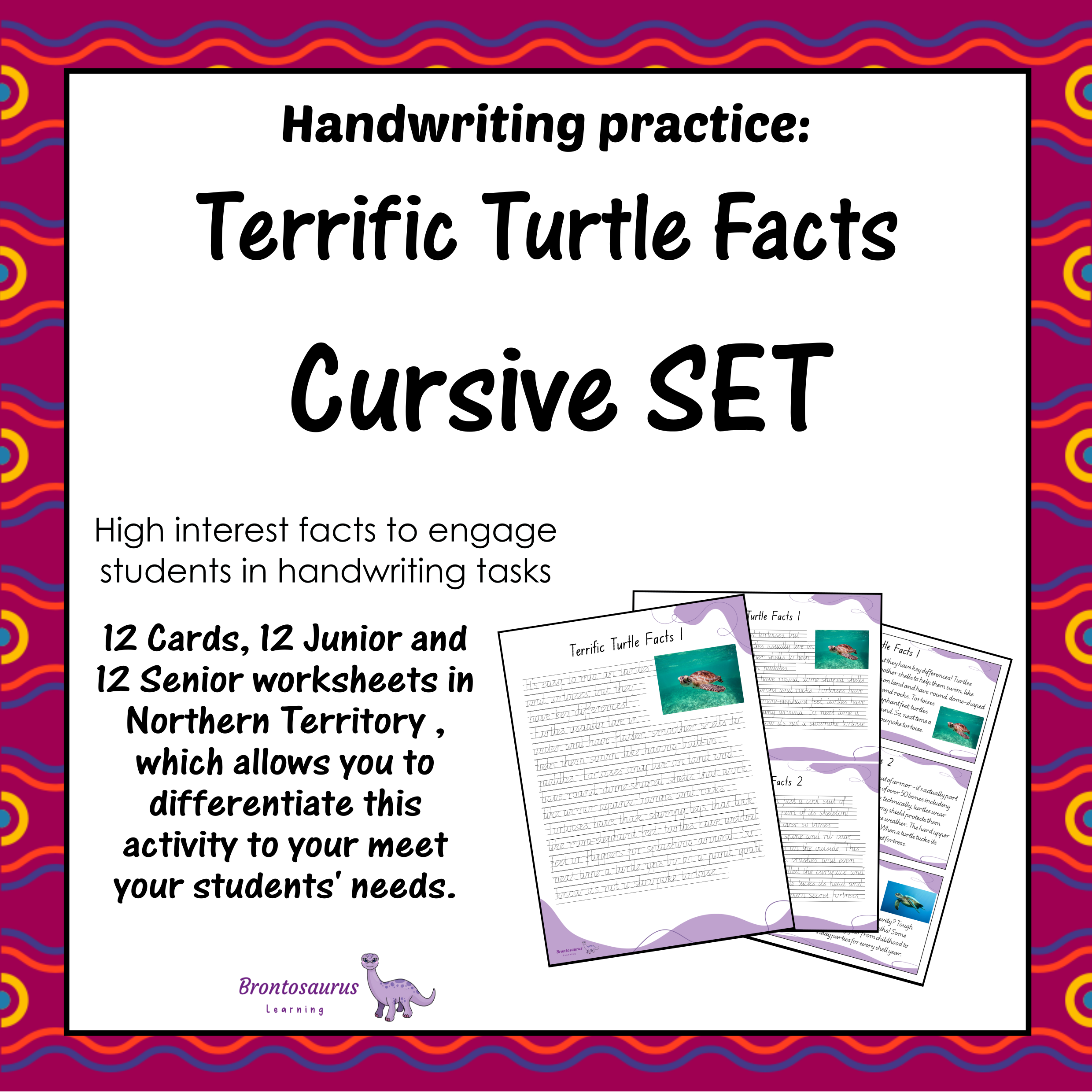 TURTLEs Cursive Set cover image