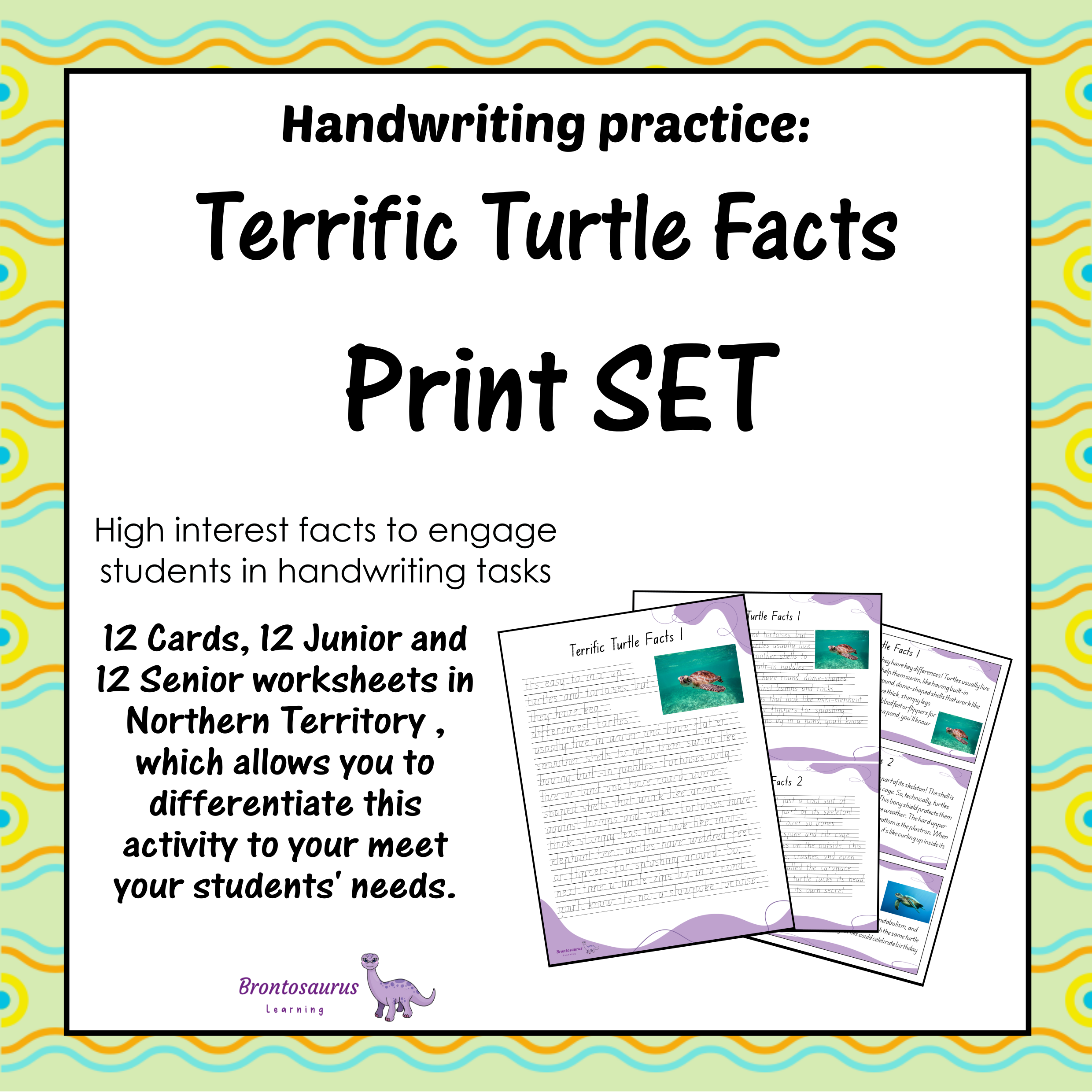 TURTLEs Print Set cover image