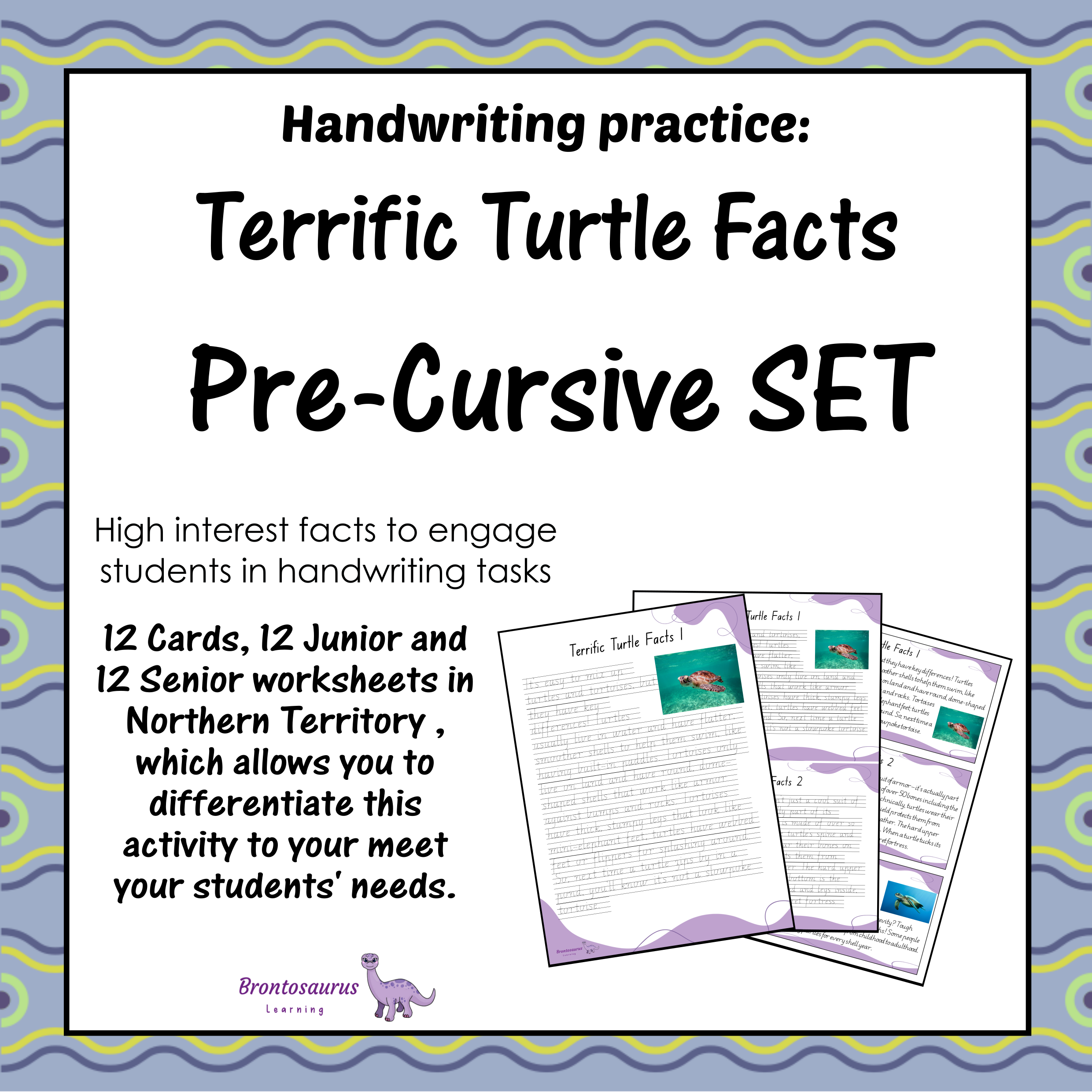 TURTLEs Pre-cursive Set cover image