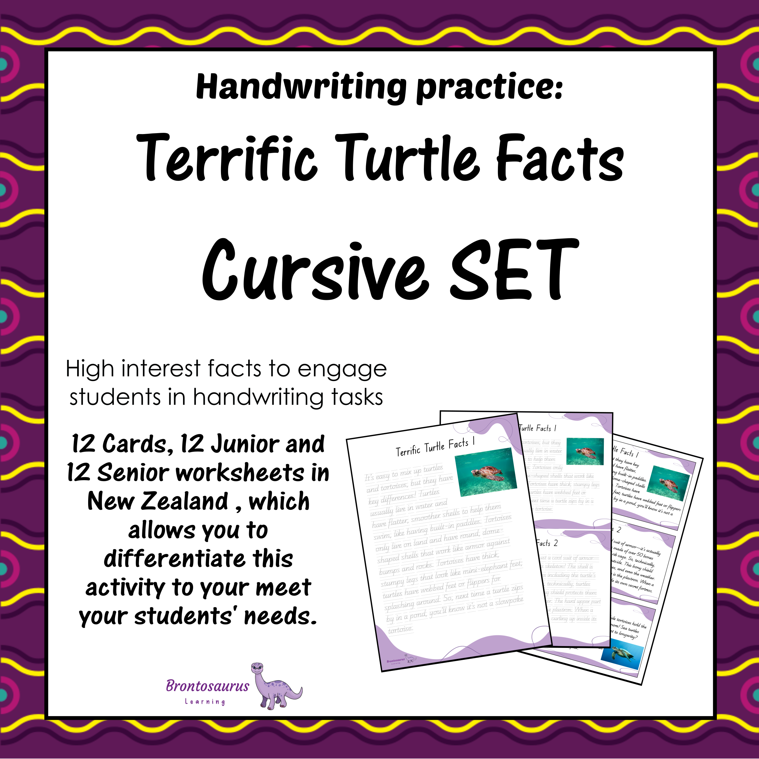 TURTLEs Cursive Set cover image