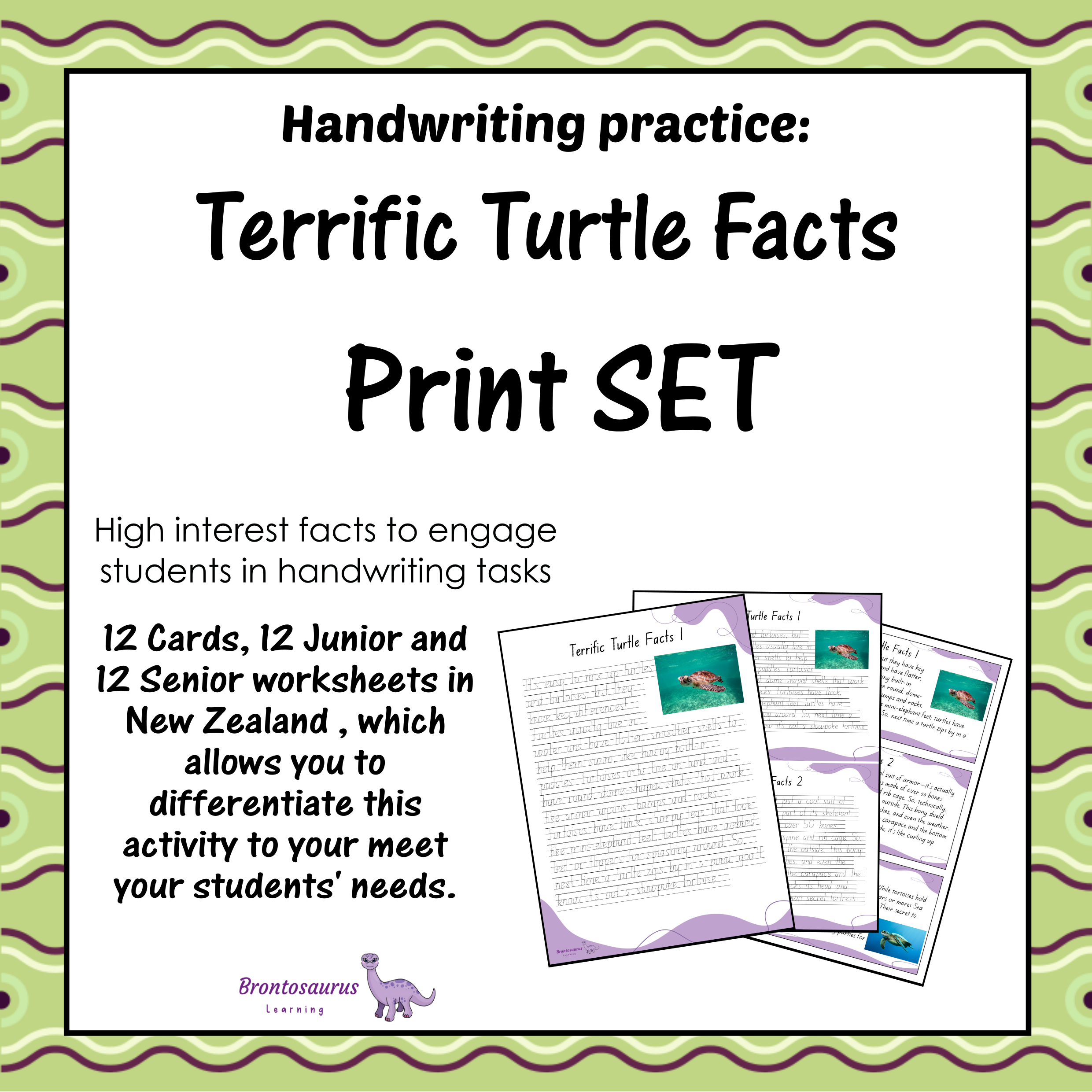 TURTLEs Print Set cover image