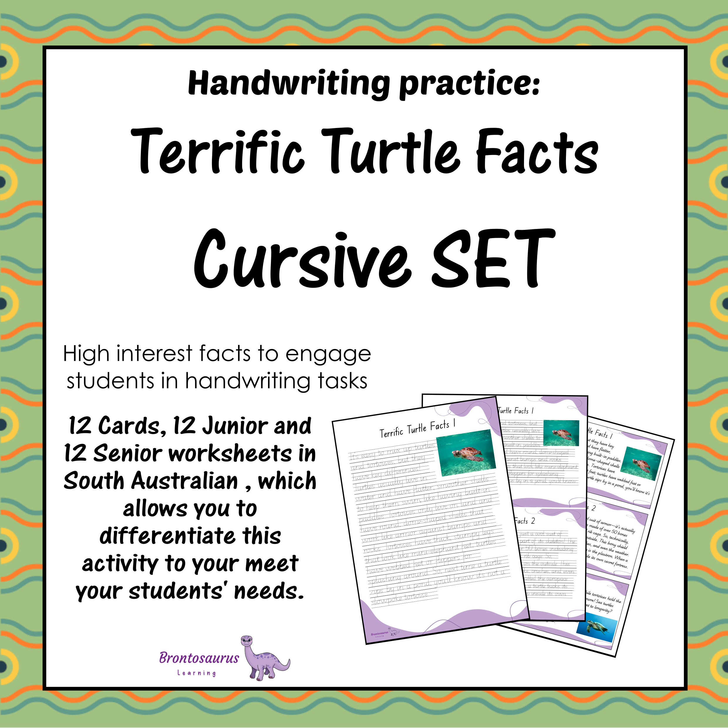 TURTLEs Cursive Set cover image