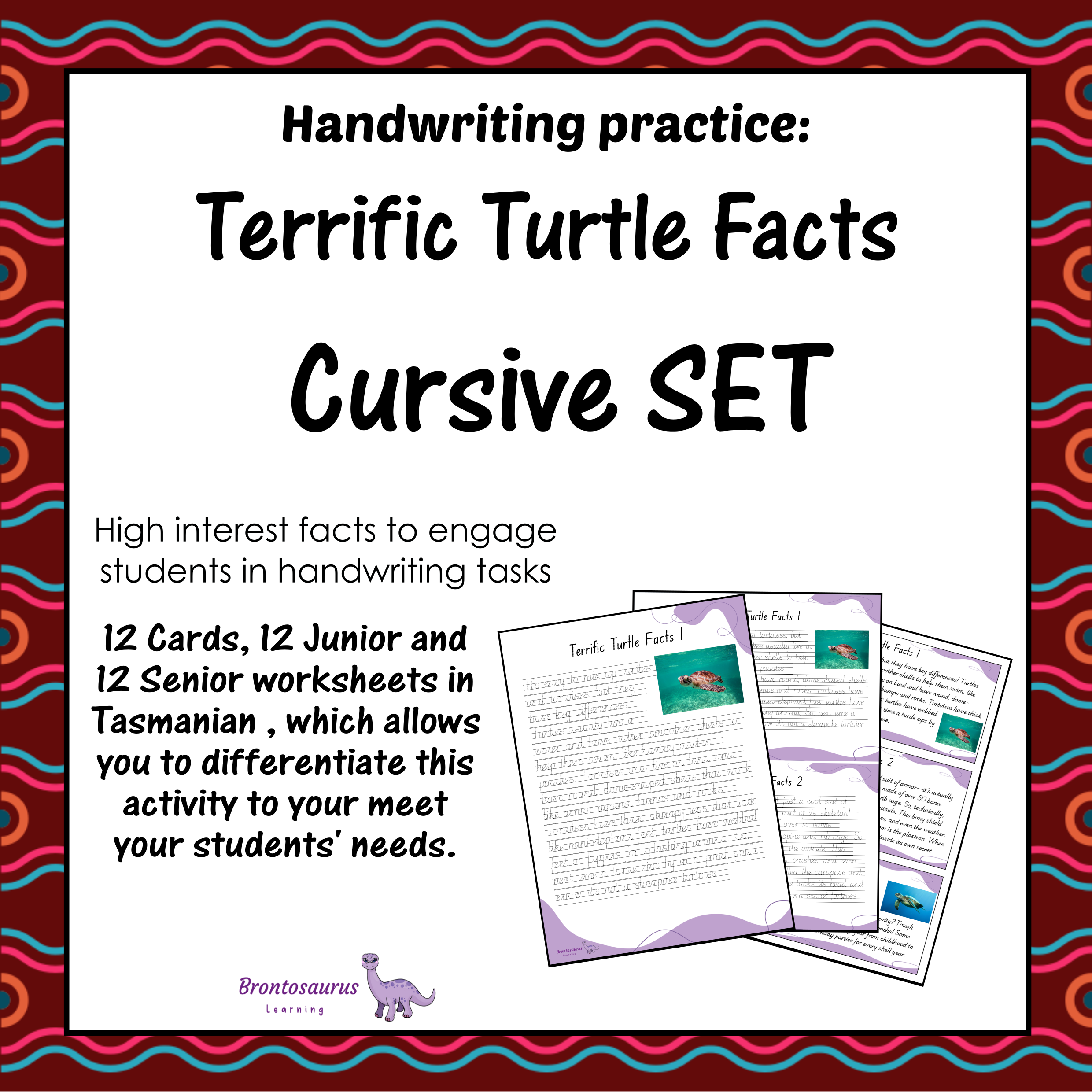 TURTLEs Cursive Set cover image