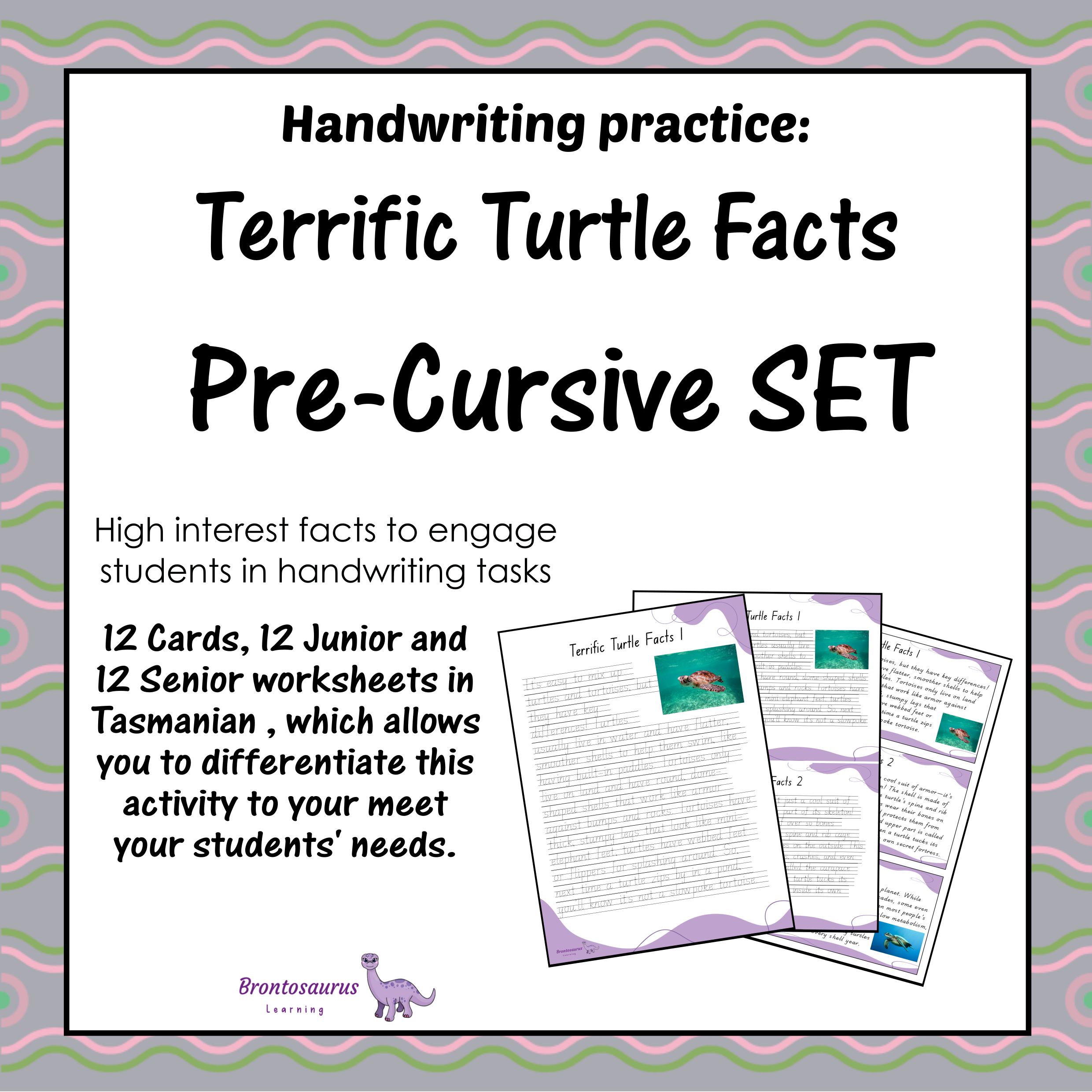 TURTLEs Pre-cursive Set cover image