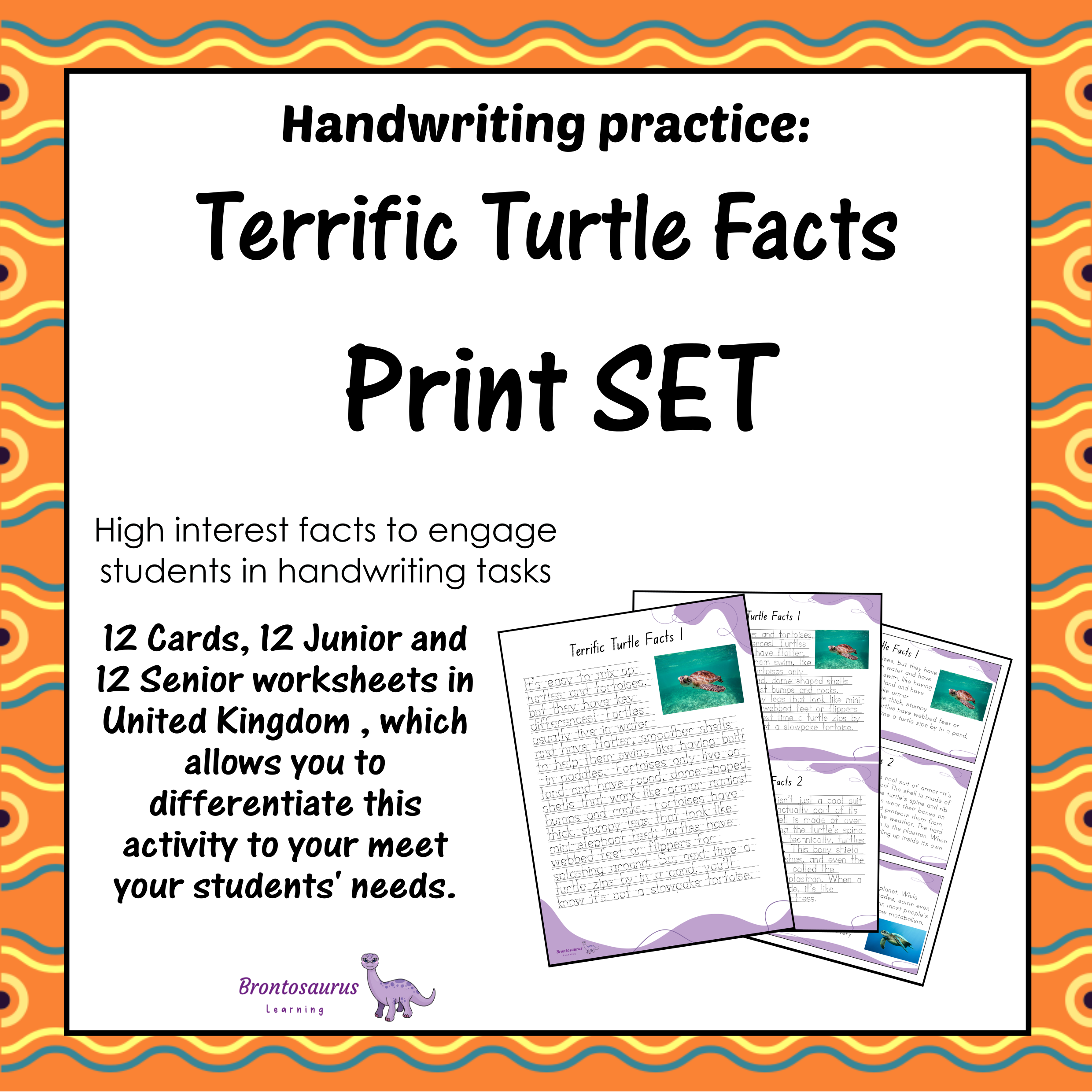 United Kingdom Animals 27 TURTLEs Print Set cover image