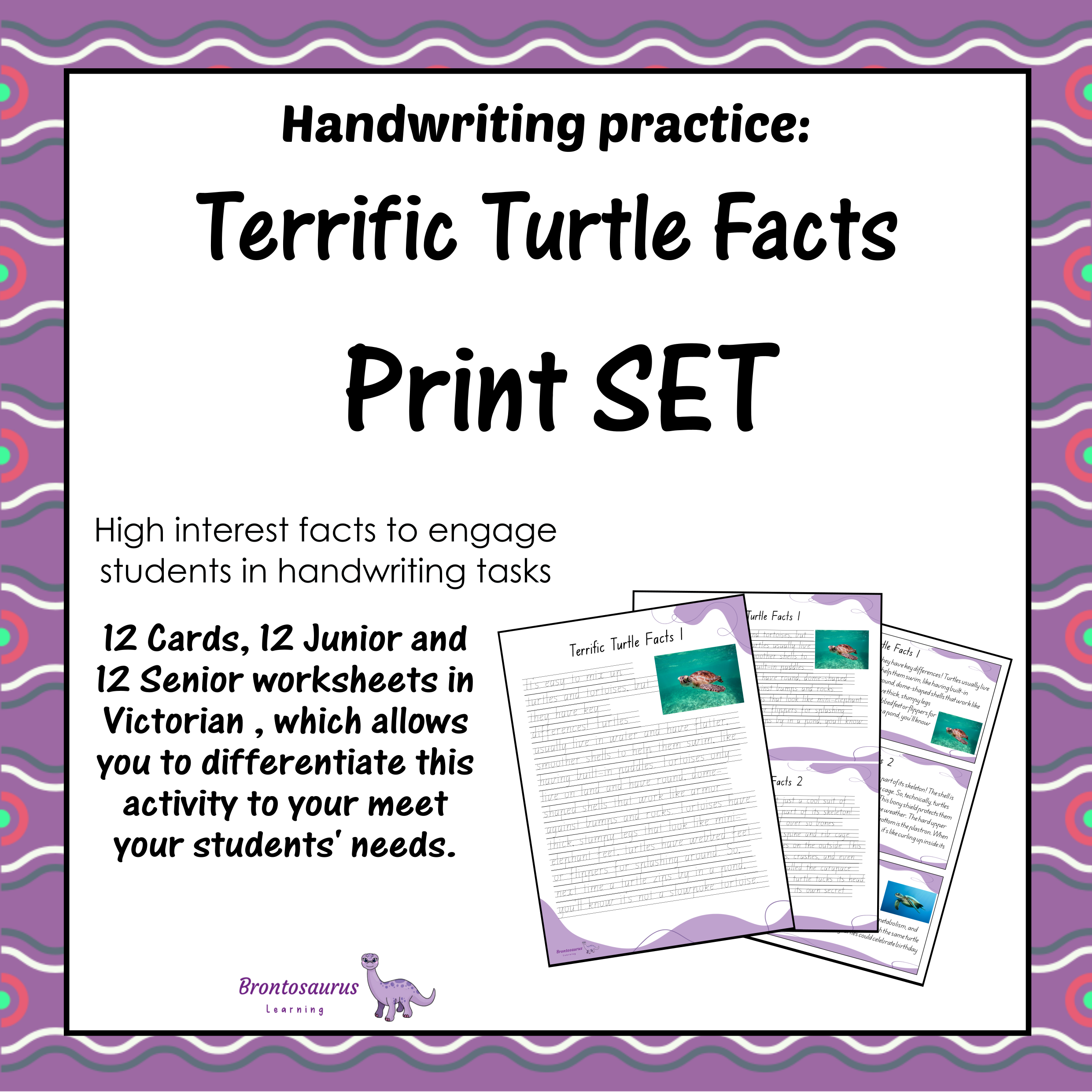 TURTLEs Print Set cover image