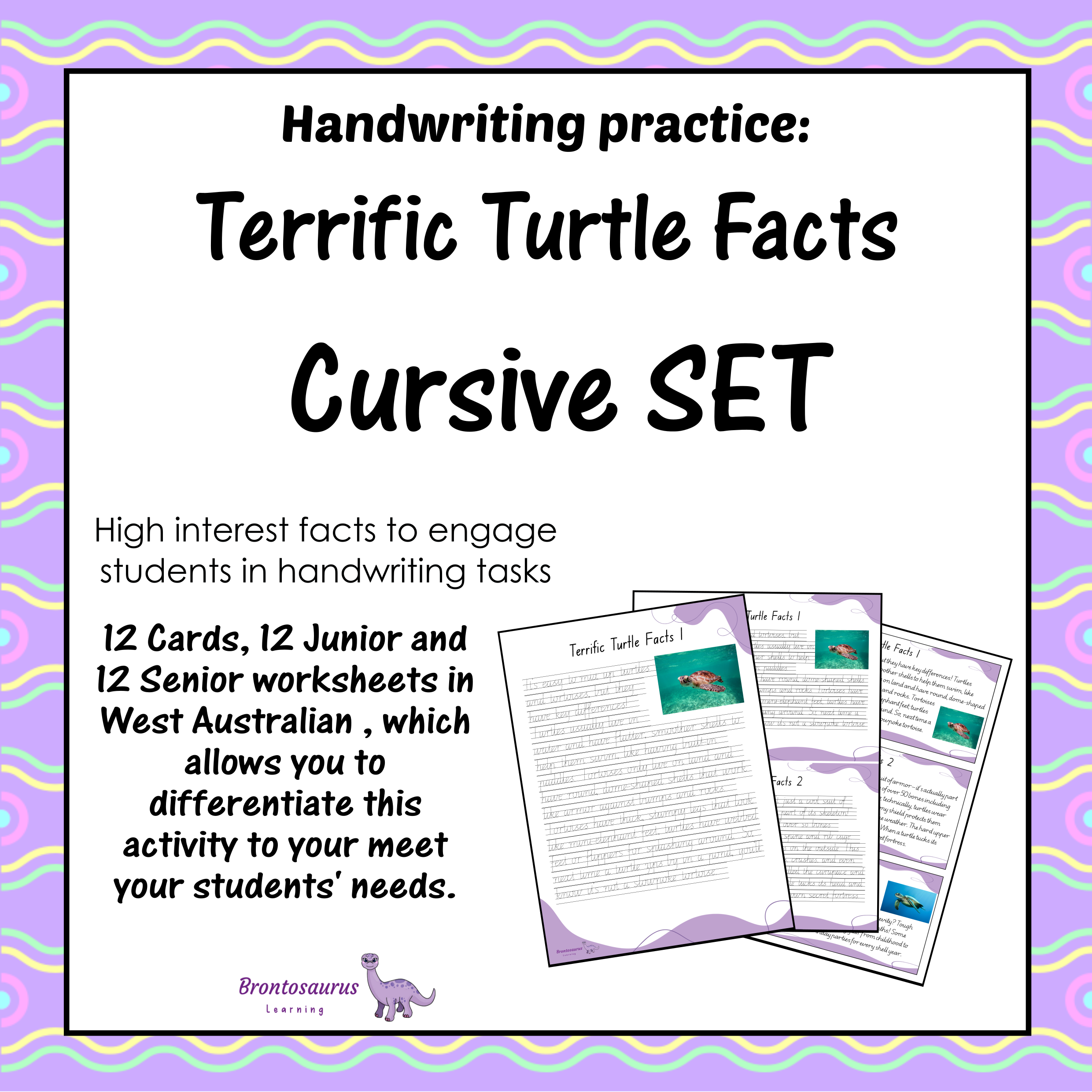 TURTLEs Cursive Set cover image