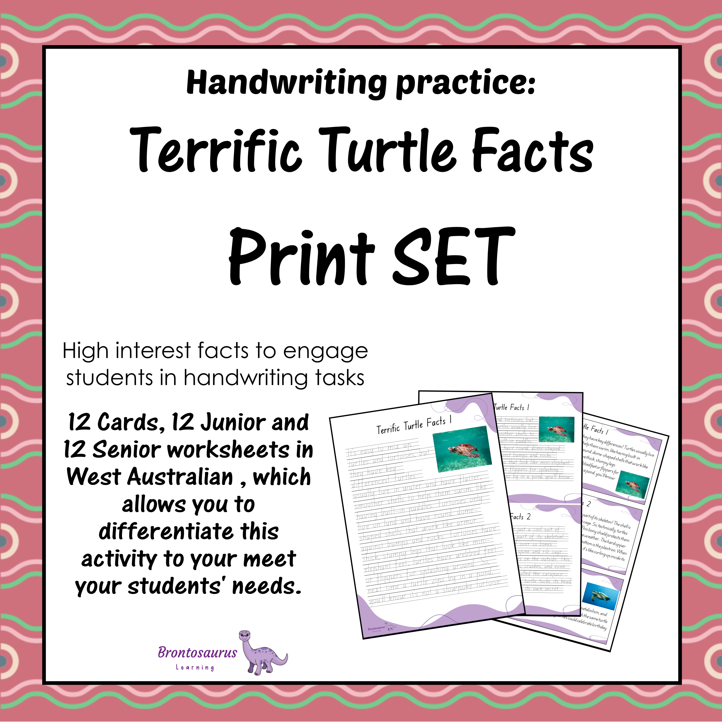 TURTLEs Print Set cover image