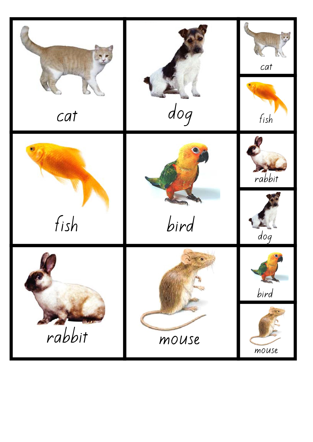 Student resource page preview for Animals Visual Aid Cards