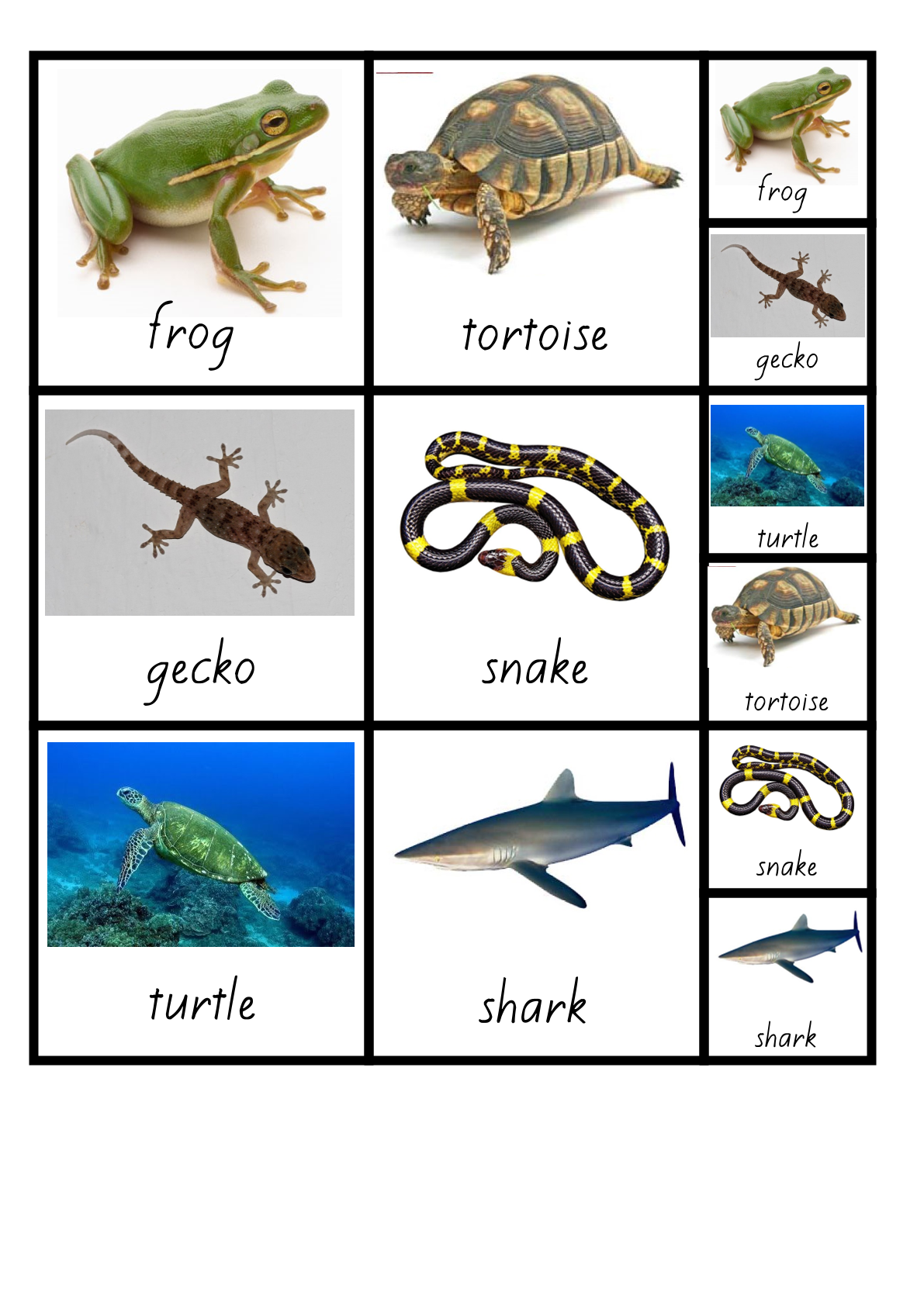 Additional resource page preview for Animals Visual Aid Cards
