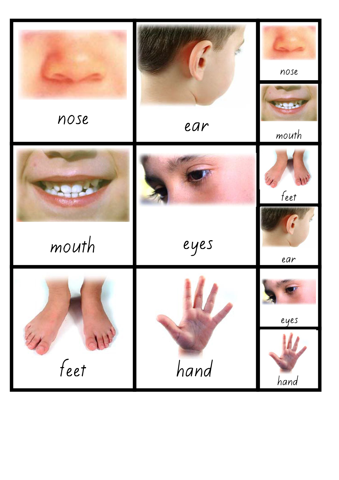 Student resource page preview for Body Parts Visual Aid Cards